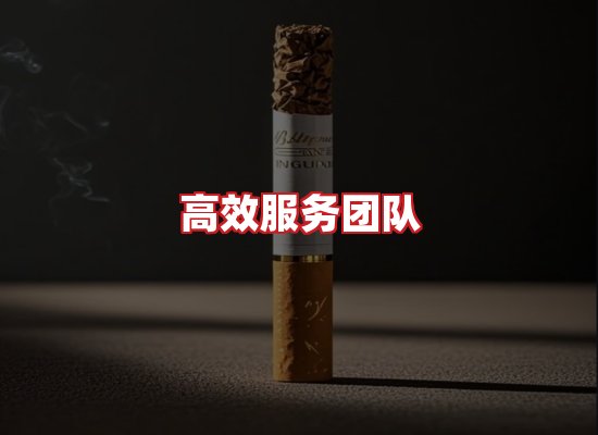 专业团队